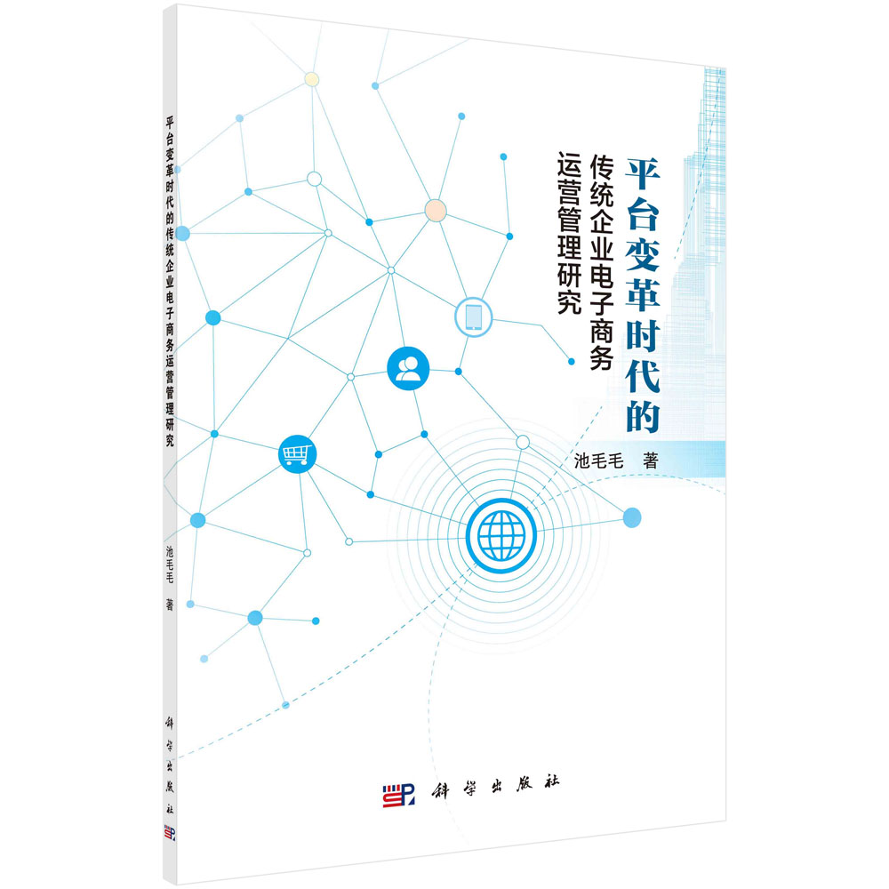 平台变革时代的传统企业电子商务运营管理研究