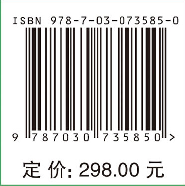 电动汽车驱动电机系统