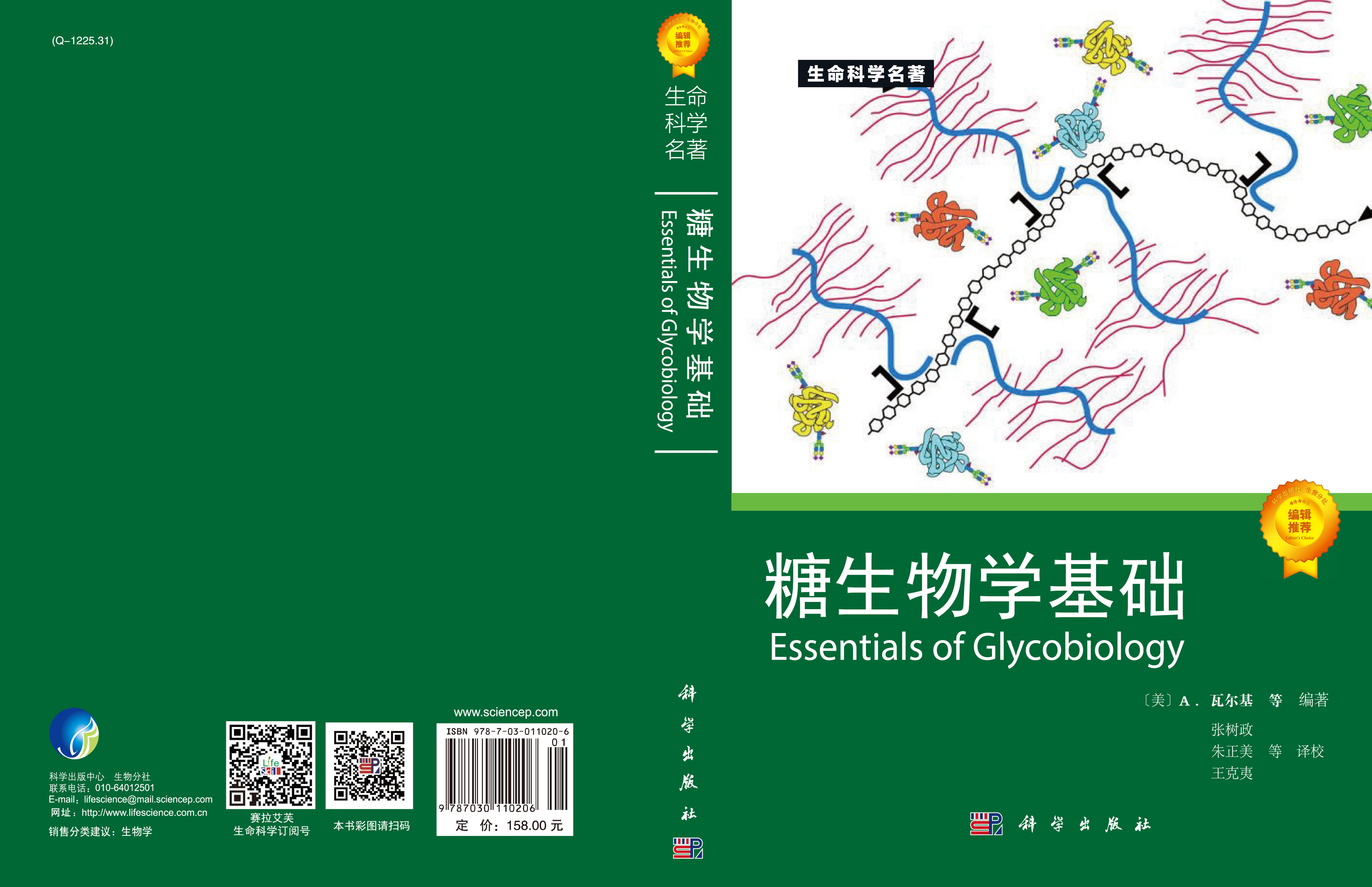 糖生物学基础