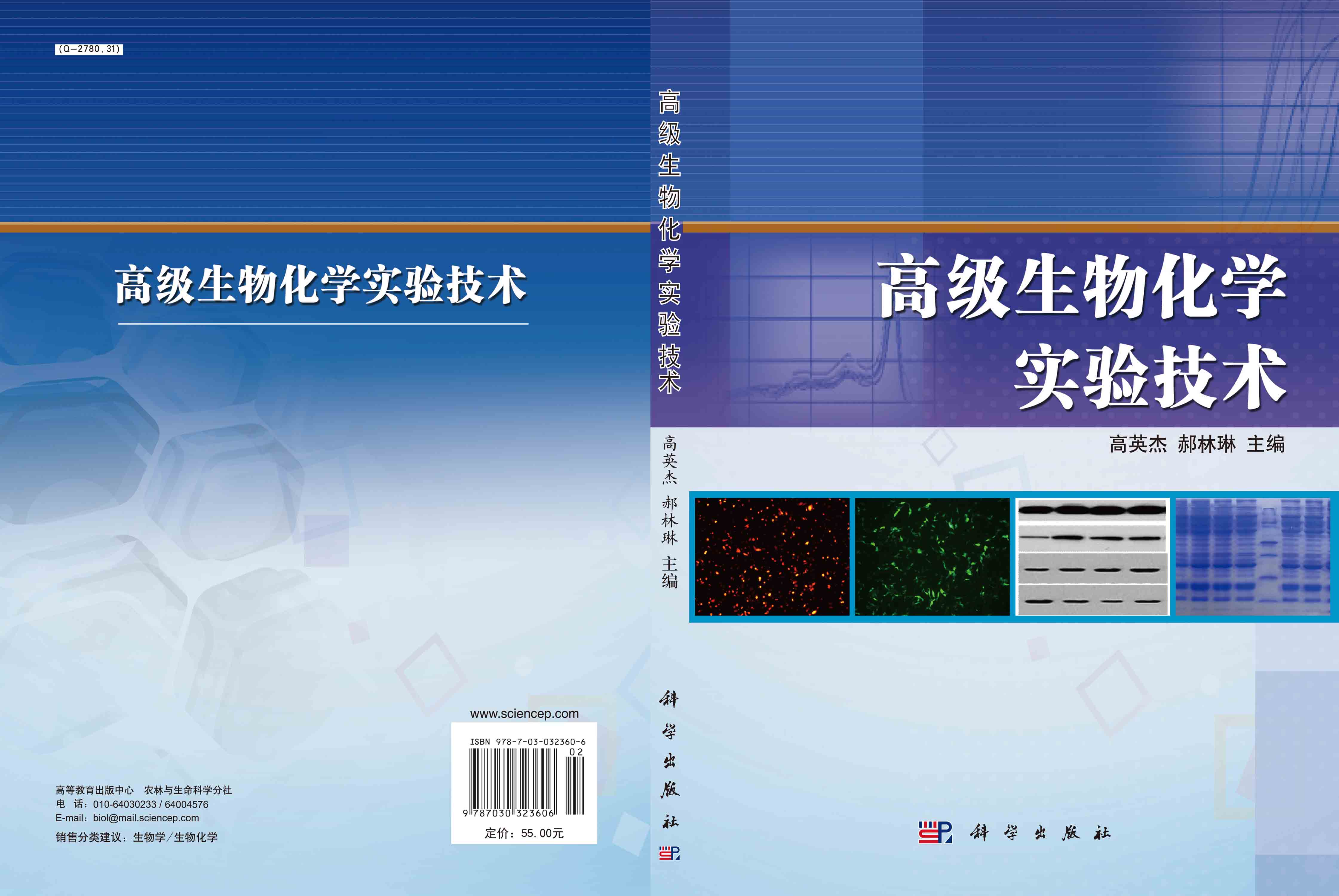 高级生物化学实验技术