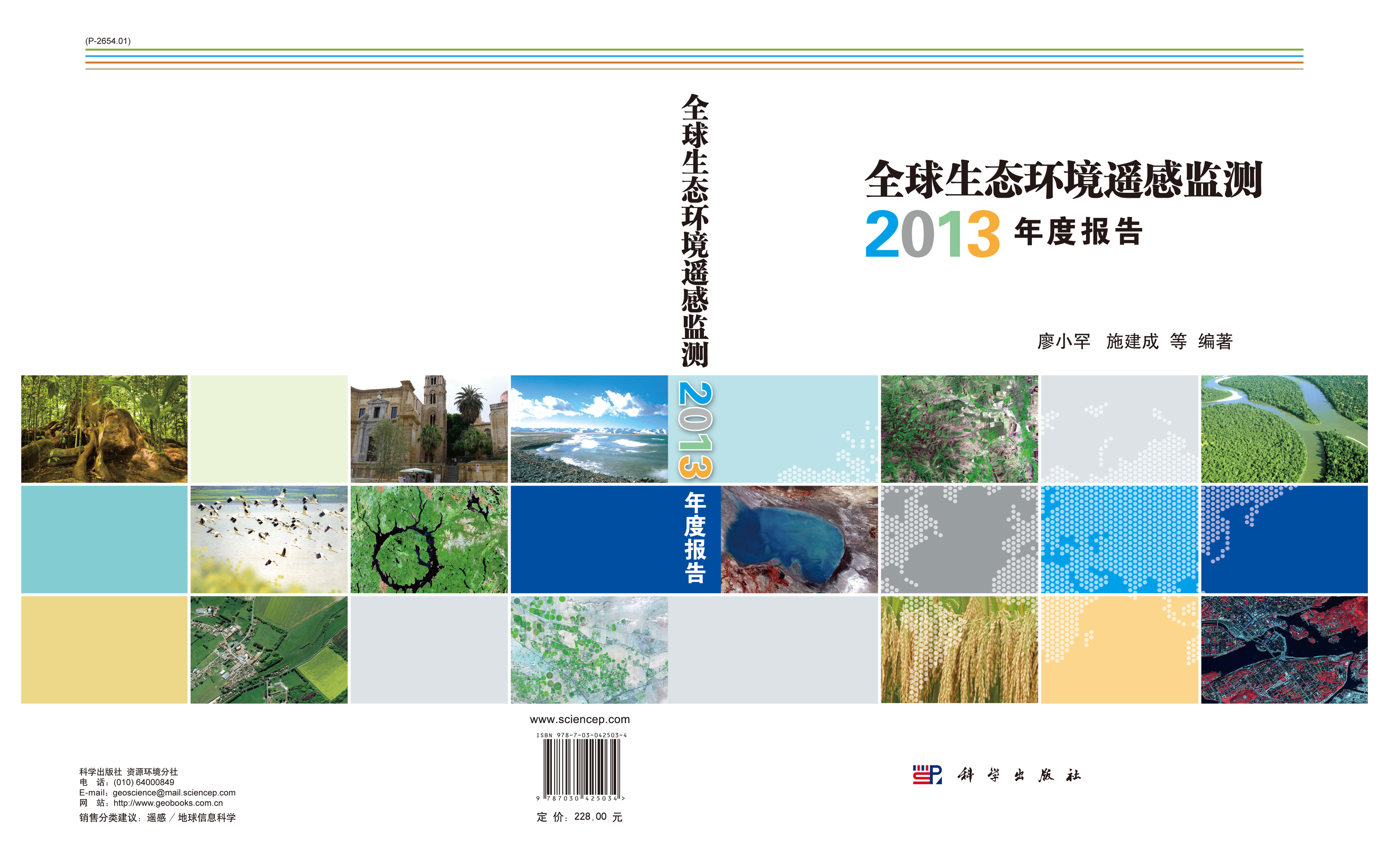 全球生态环境遥感监测2013年度报告