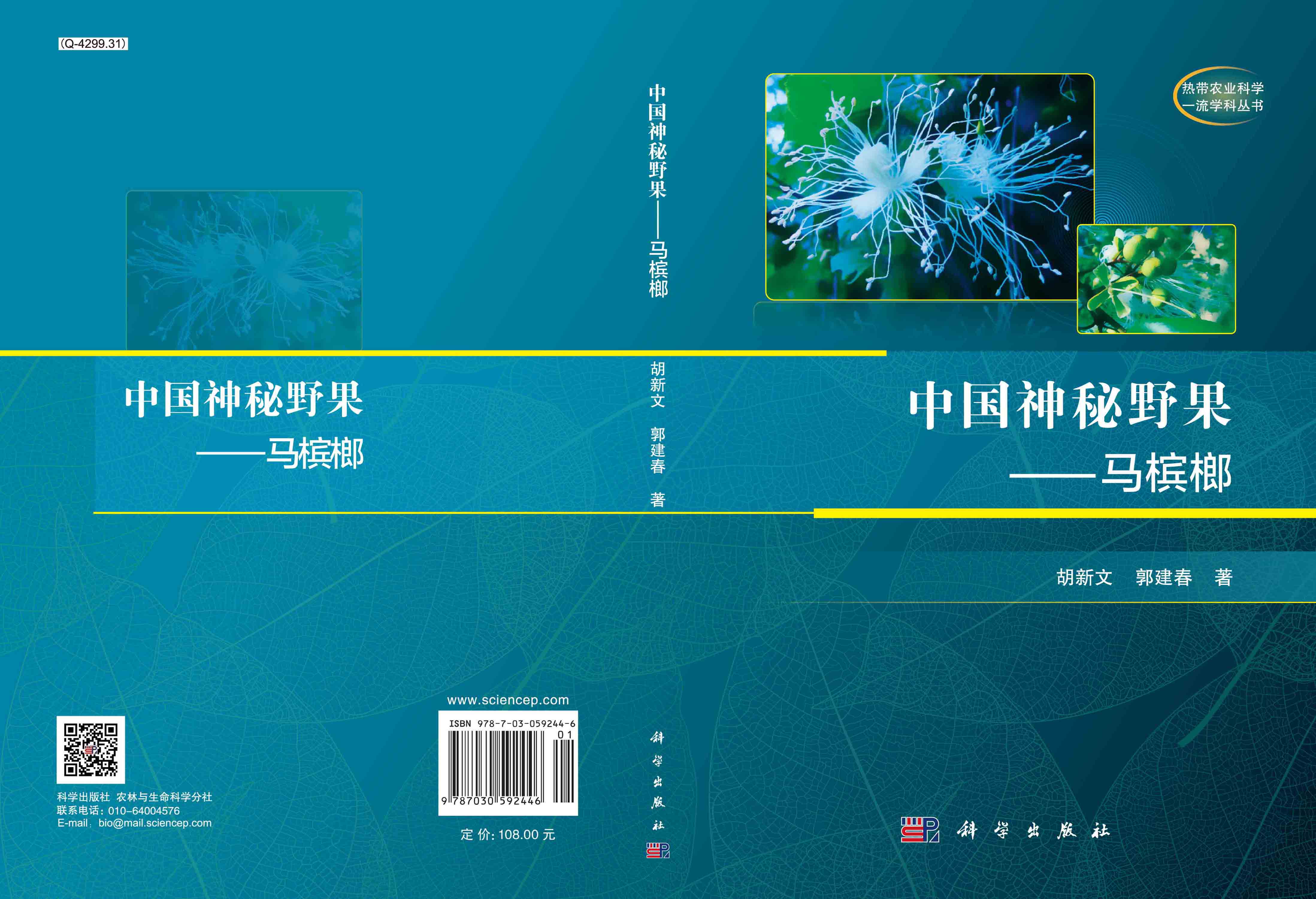 中国神秘野果——马槟榔