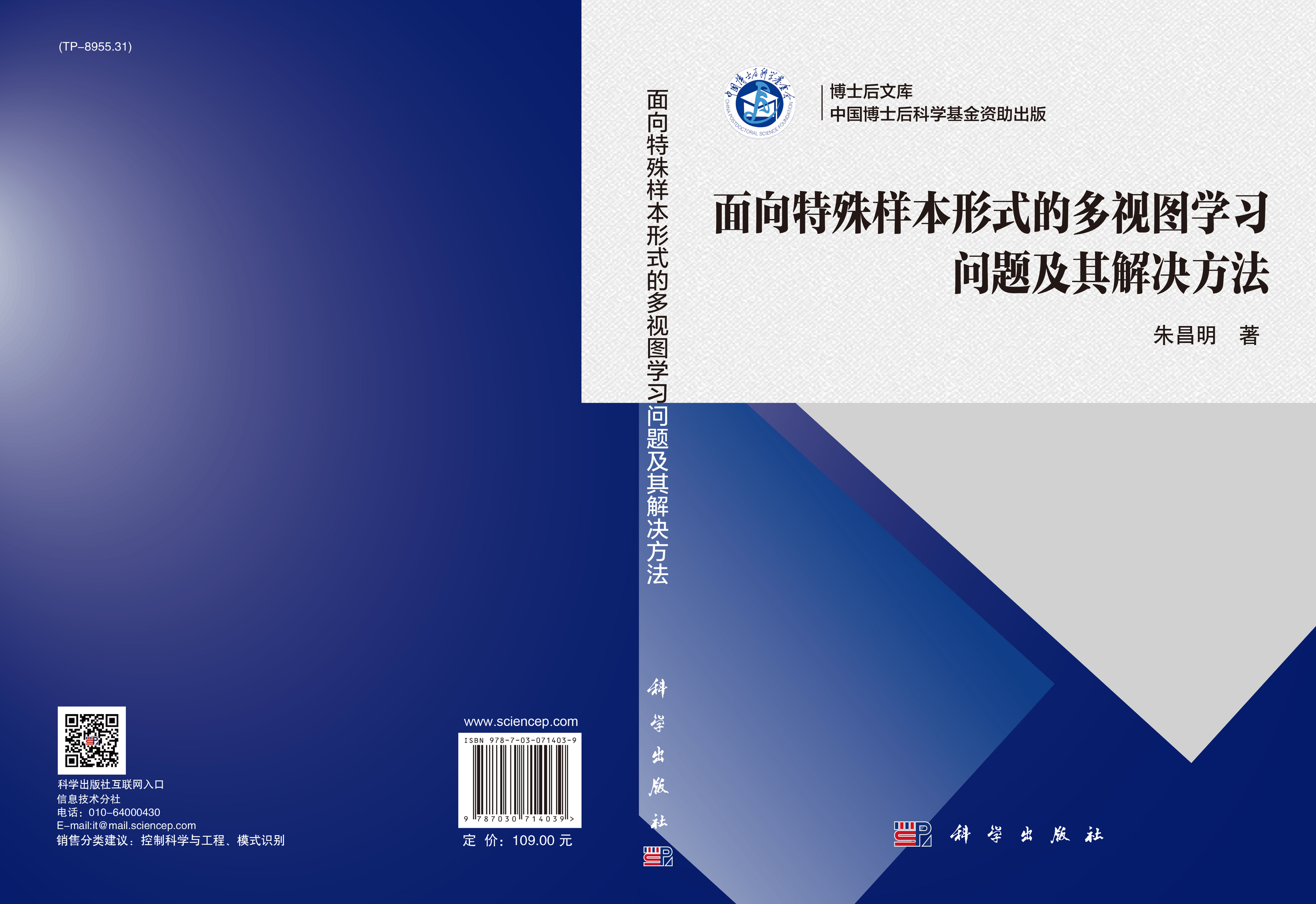 面向特殊样本形式的多视图学习问题及其解决方法