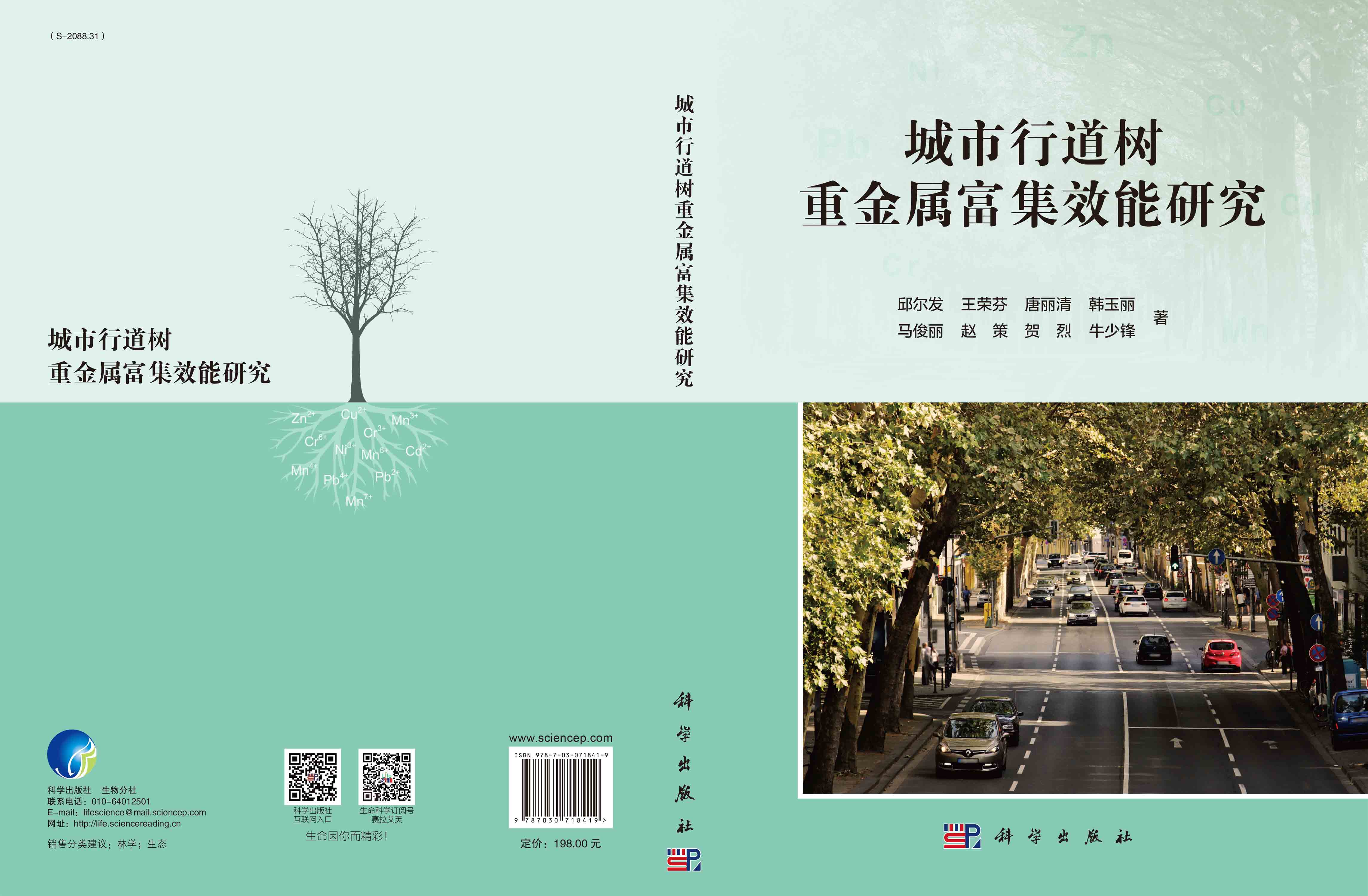 城市行道树重金属富集效能研究