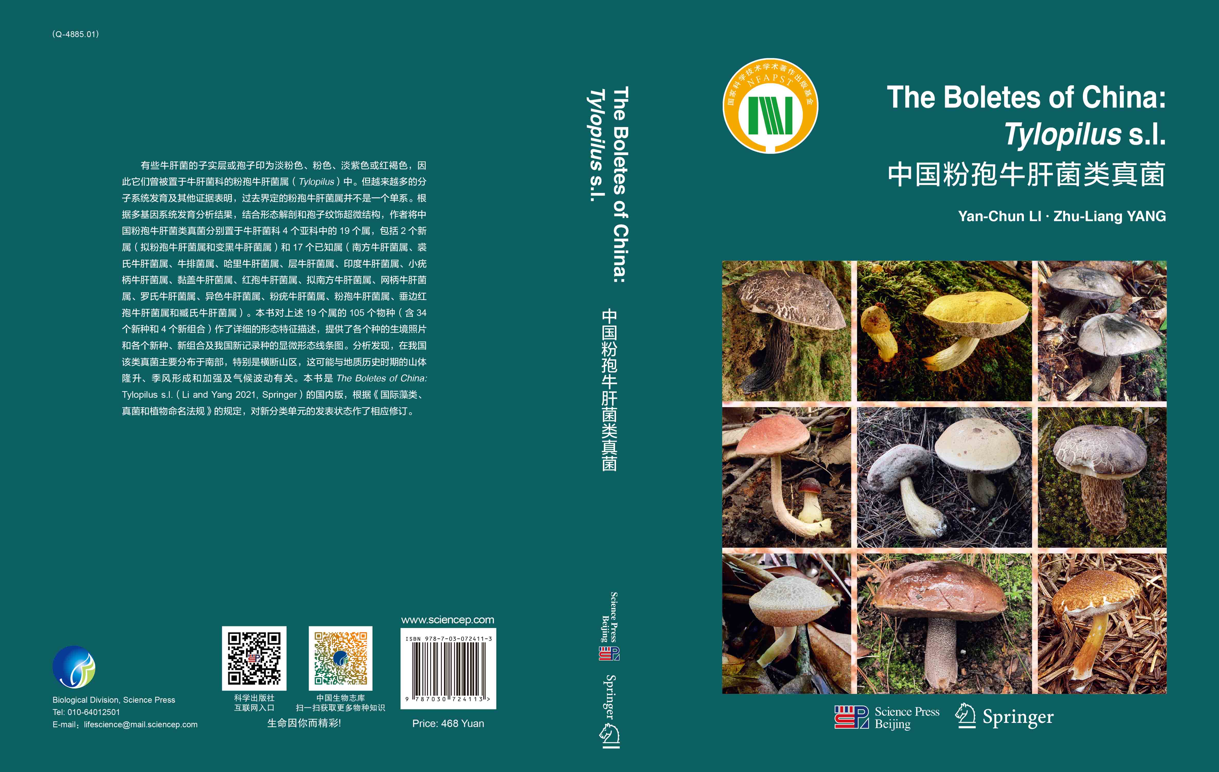 中国粉孢牛肝菌类真菌（英文版）