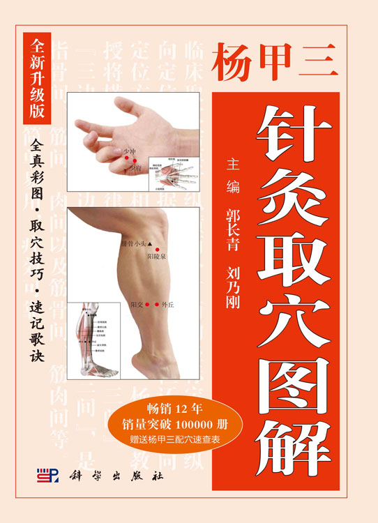 杨甲三针灸取穴图解（全新升级版）