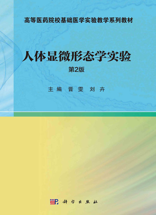 人体显微形态学实验