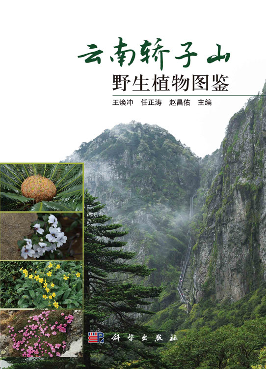 云南轿子山野生植物图鉴