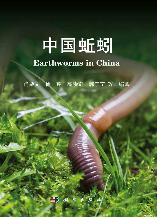 中国蚯蚓