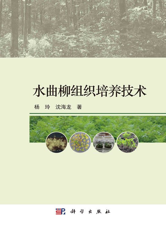 水曲柳组织培养技术