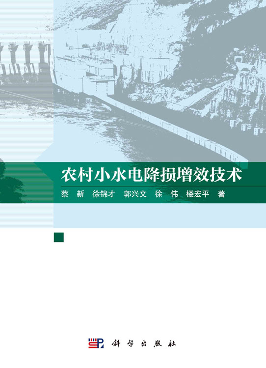 农村小水电降损增效技术