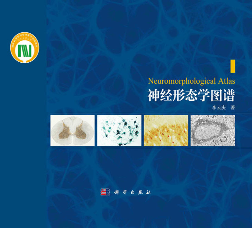 神经形态学图谱