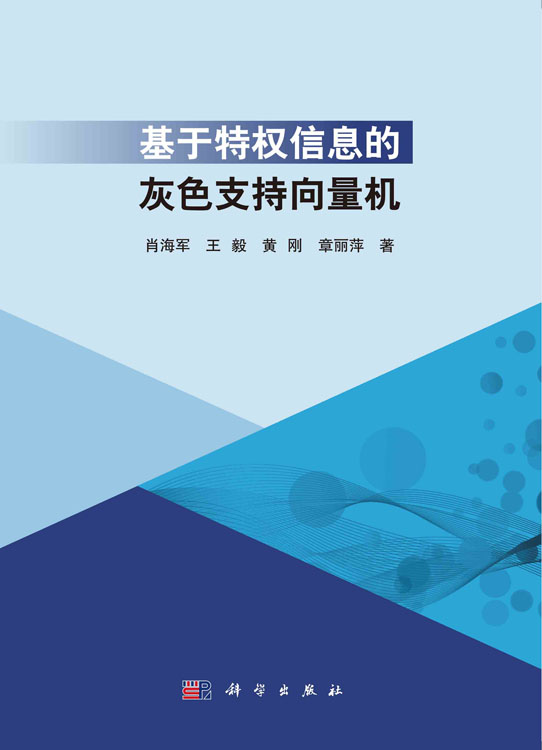 基于特权信息的灰色支持向量机