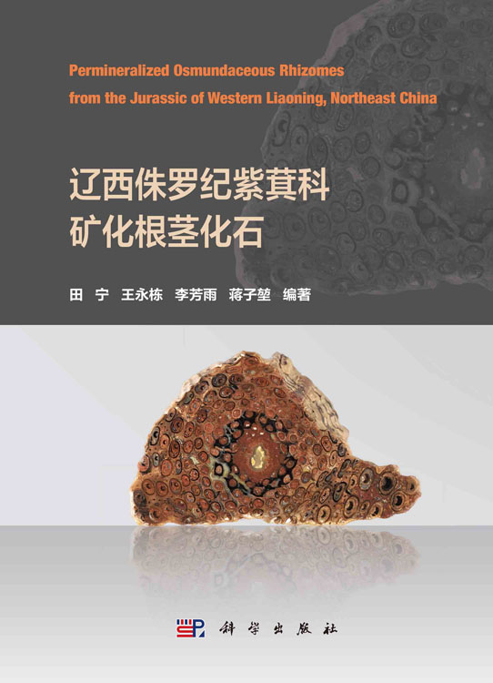 辽西侏罗纪紫萁科矿化根茎化石