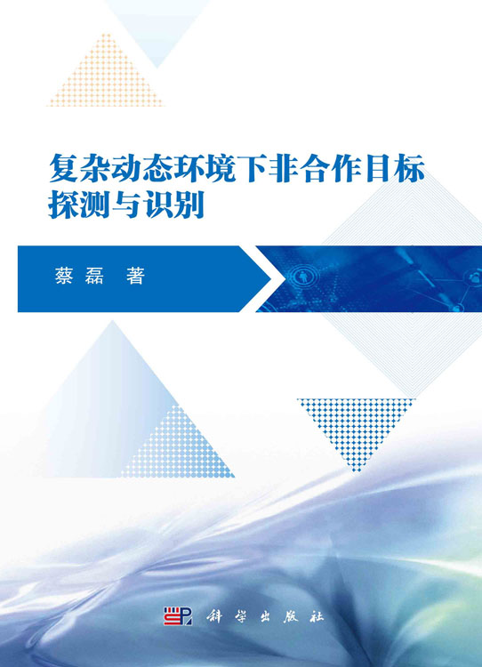 复杂动态环境下非合作目标探测与识别