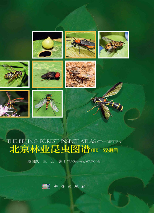 北京林业昆虫图谱.Ⅲ,双翅目
