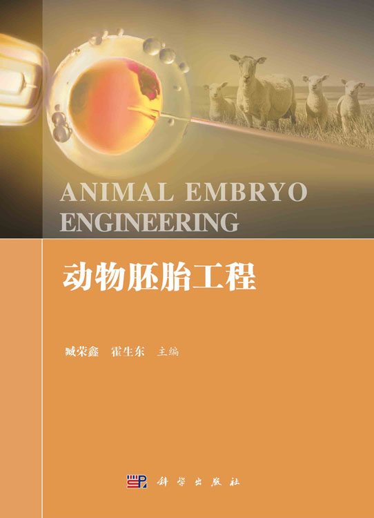 动物胚胎工程