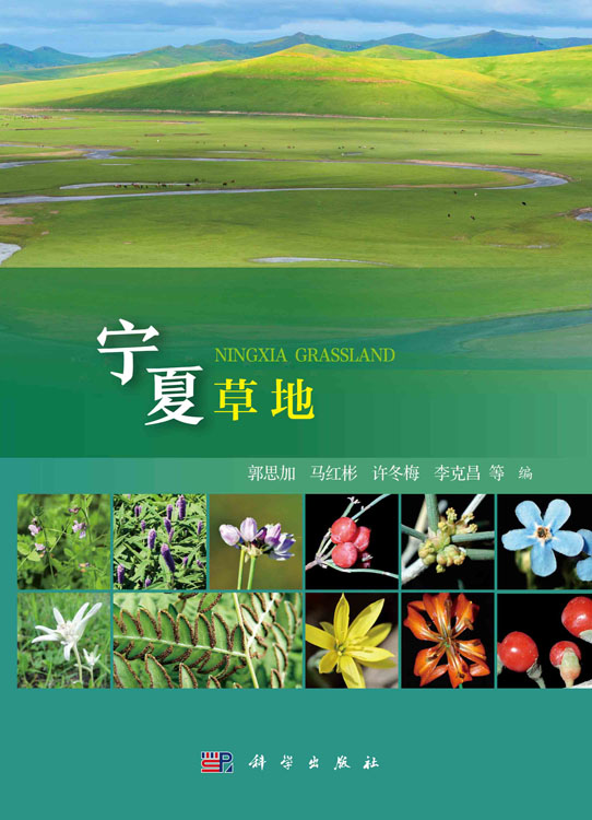 宁夏草地