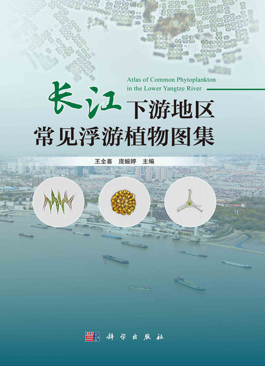 长江下游地区常见浮游植物图集