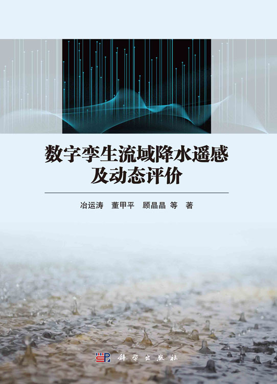 数字孪生流域降水遥感及动态评价