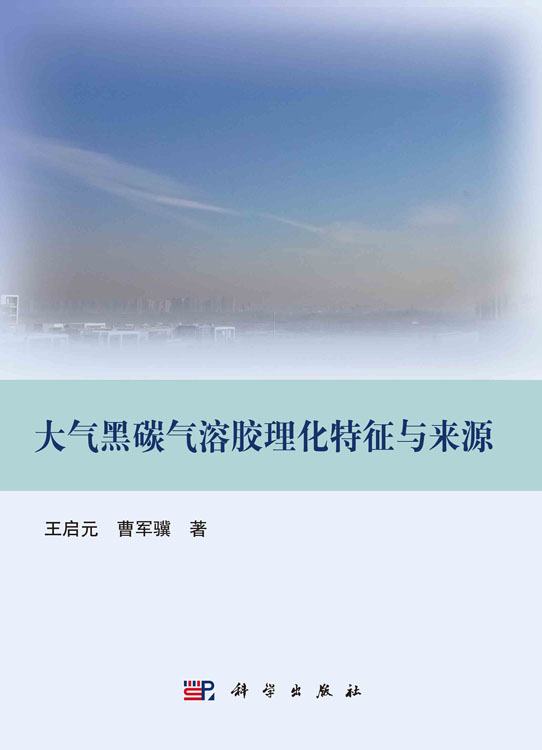 大气黑碳气溶胶理化特征与来源