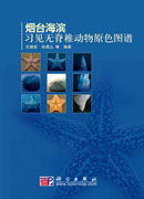烟台海滨习见无脊椎动物原色图谱