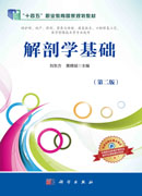 解剖学基础（第二版）