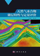 天然气水合物储层特性与定量评价