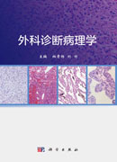 外科诊断病理学
