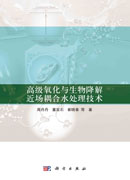 高级氧化与生物降解近场耦合水处理技术