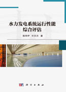 水力发电系统运行性能综合评估