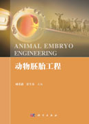 动物胚胎工程