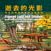 逝去的光影：地史时期植物景观油画系列