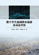 数字孪生流域降水遥感及动态评价