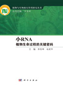 小RNA——植物生命过程的关键密码