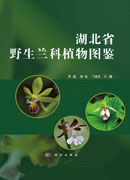 湖北省野生兰科植物图鉴