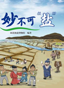 妙不可“盐”