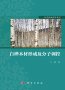 白桦木材形成及分子调控