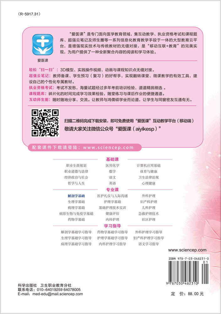 解剖学基础