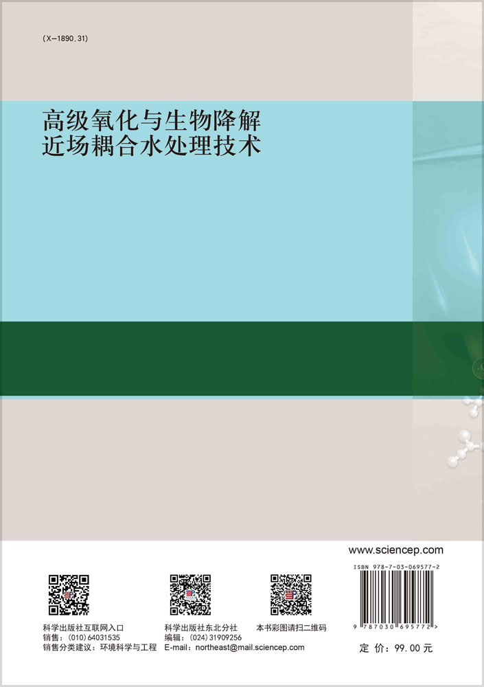 高级氧化与生物降解近场耦合水处理技术