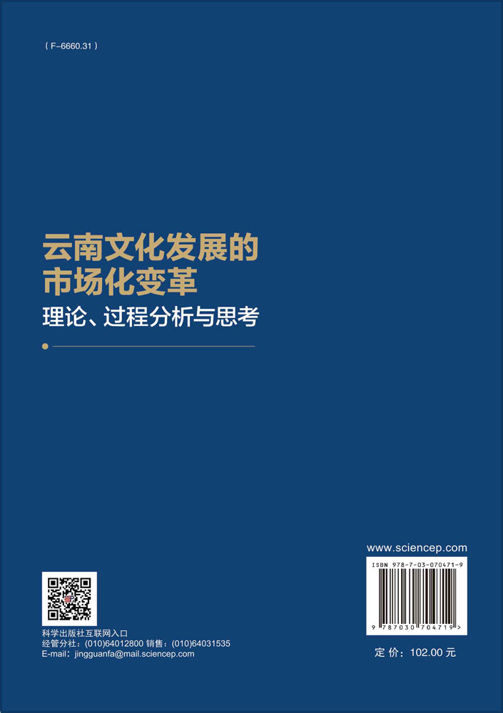 云南文化发展的市场化变革：理论、过程分析与思考