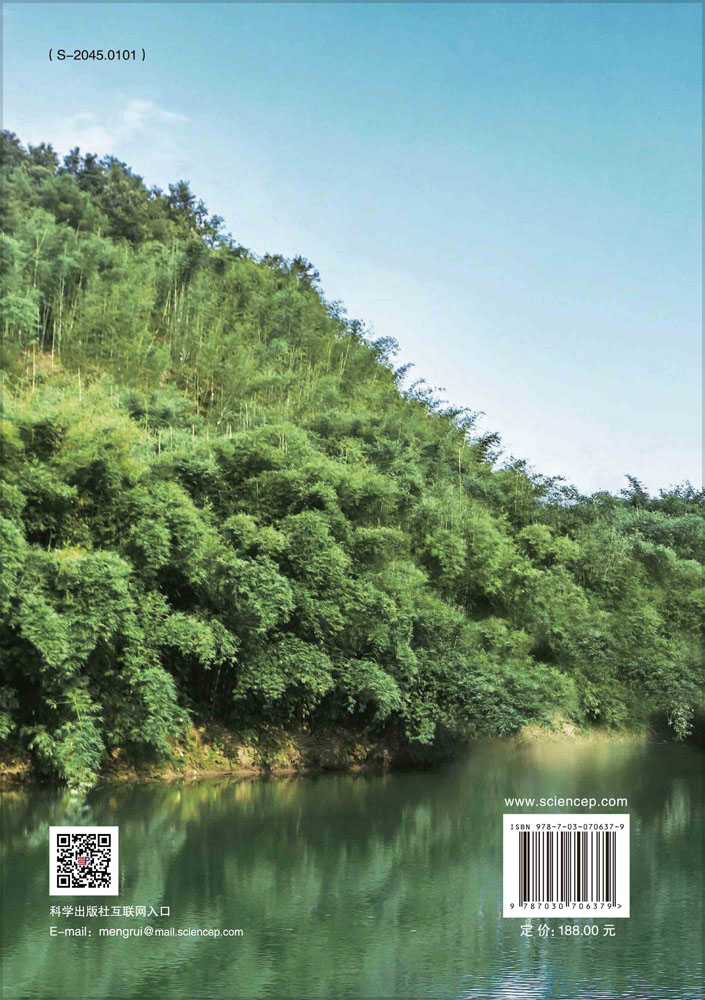 竹林风景线模式构建研究与实践
