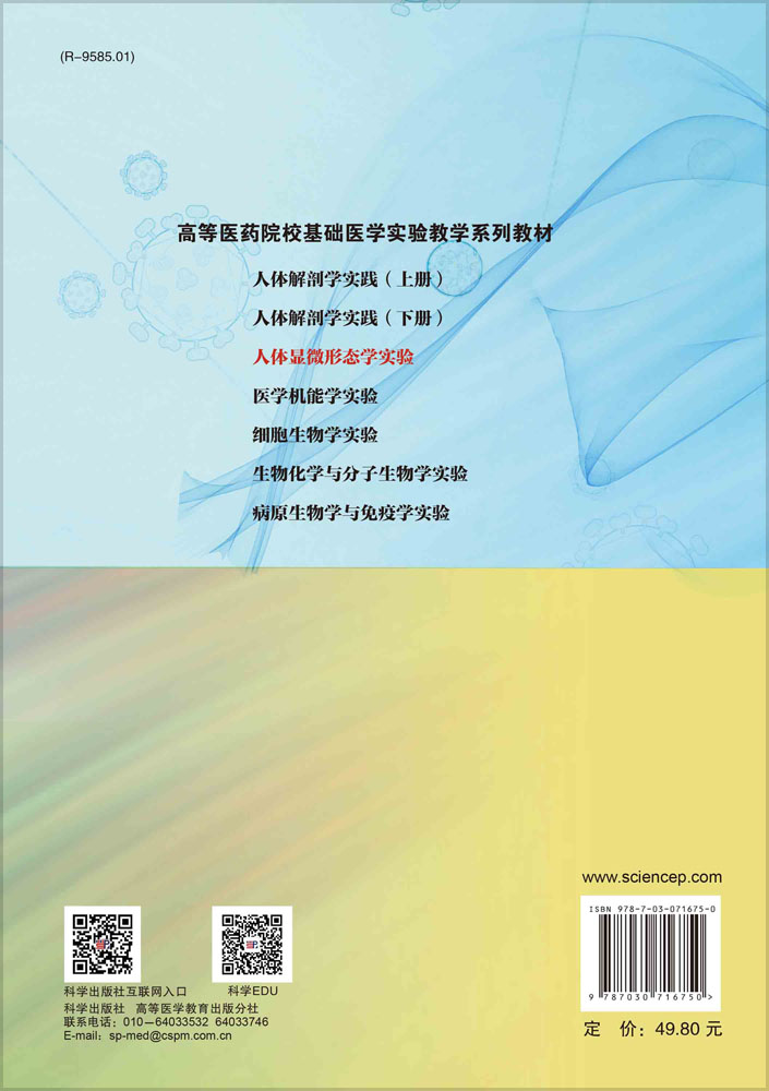 人体显微形态学实验