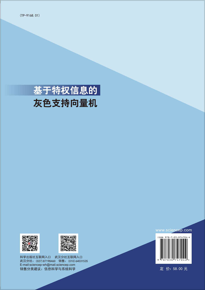 基于特权信息的灰色支持向量机