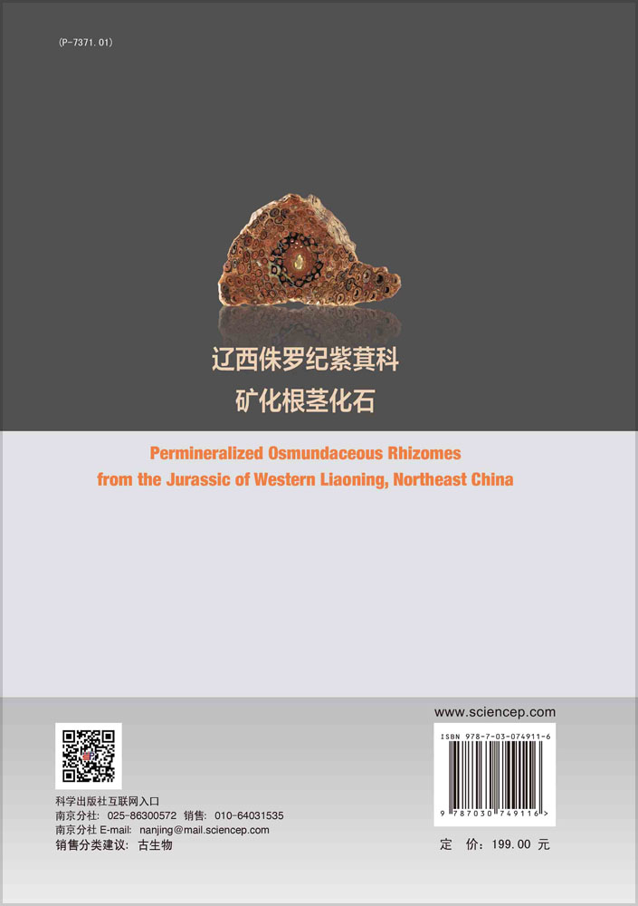 辽西侏罗纪紫萁科矿化根茎化石