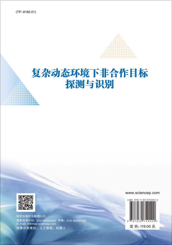 复杂动态环境下非合作目标探测与识别