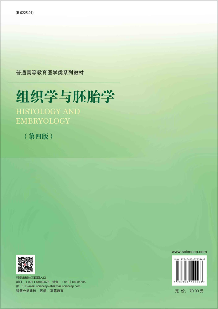 组织学与胚胎学（第四版）