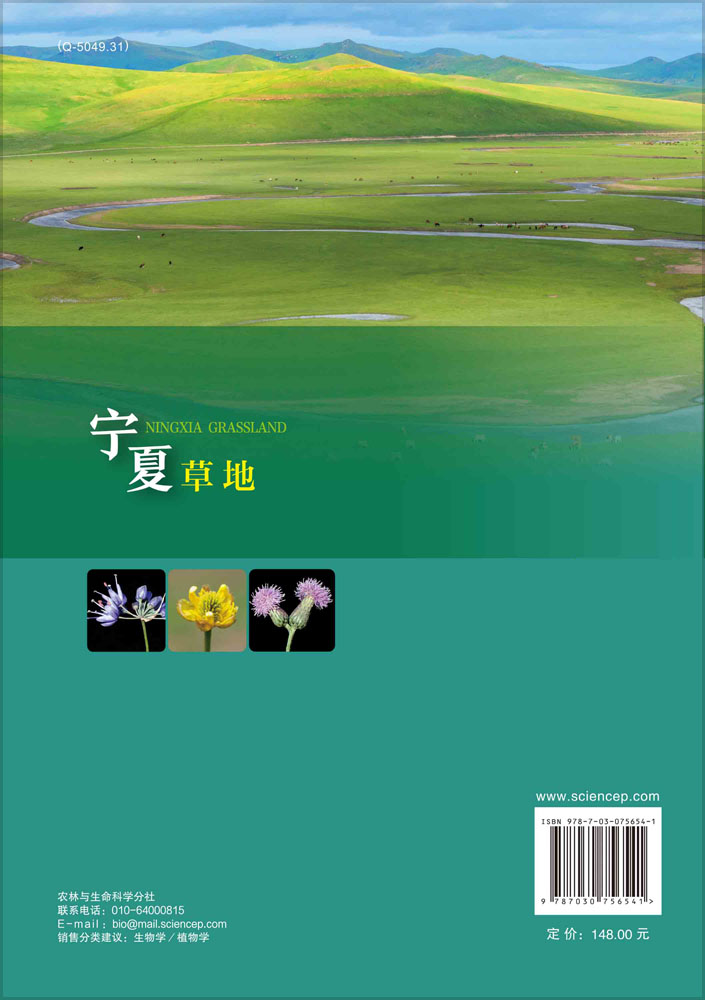 宁夏草地