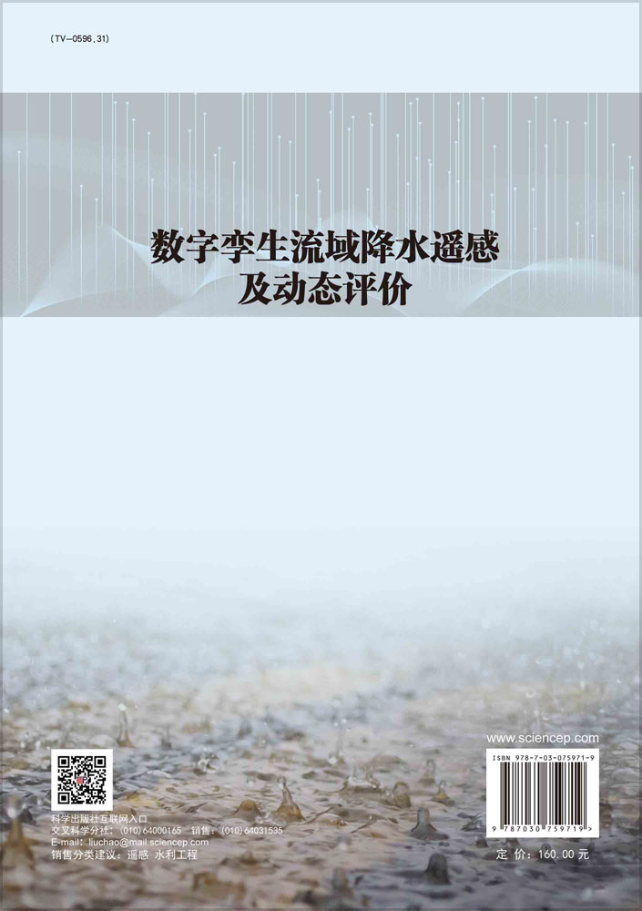 数字孪生流域降水遥感及动态评价