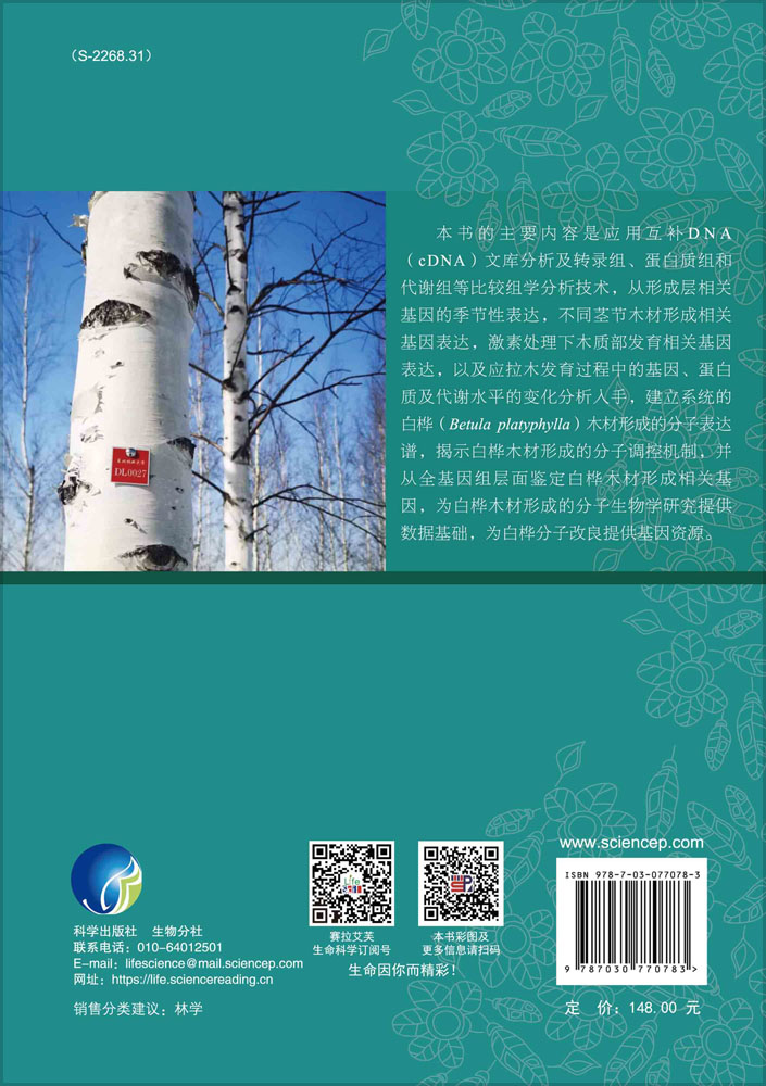 白桦木材形成及分子调控